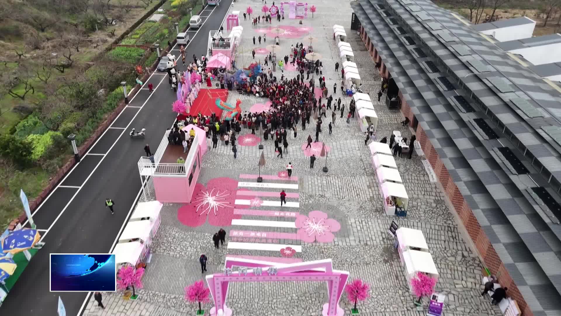 直通县市区·第一时间 | 保安镇沼山村“桃花季”浪漫启幕