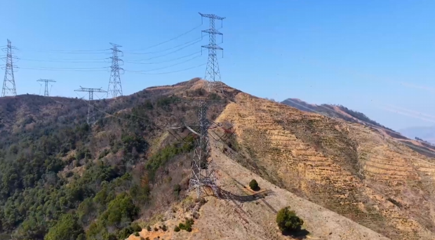 【新聞直通車】國網(wǎng)黃石供電公司：十年“林電共安” 巧解“樹線矛盾”