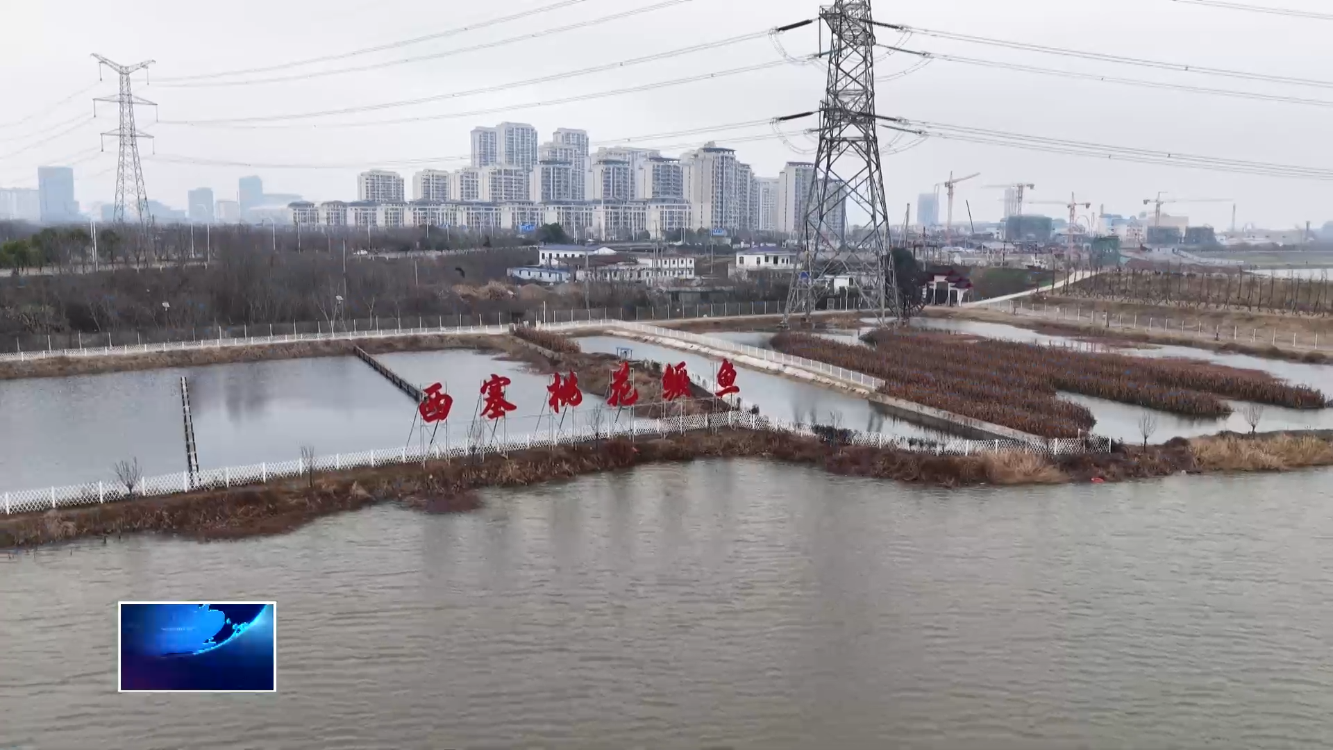 新春走基层 | 西塞桃花鳜鱼：诗中游来 湖中新生