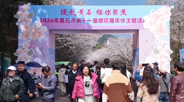 【新闻直通车】“樱”你绽放 | 团城山公园繁花似锦 游人乐享春光