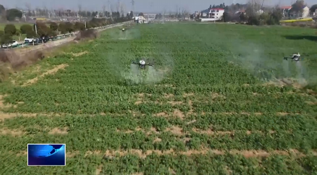 万象“耕”新不负春 | 大冶：无人机“一促四防” 科技助农保丰收