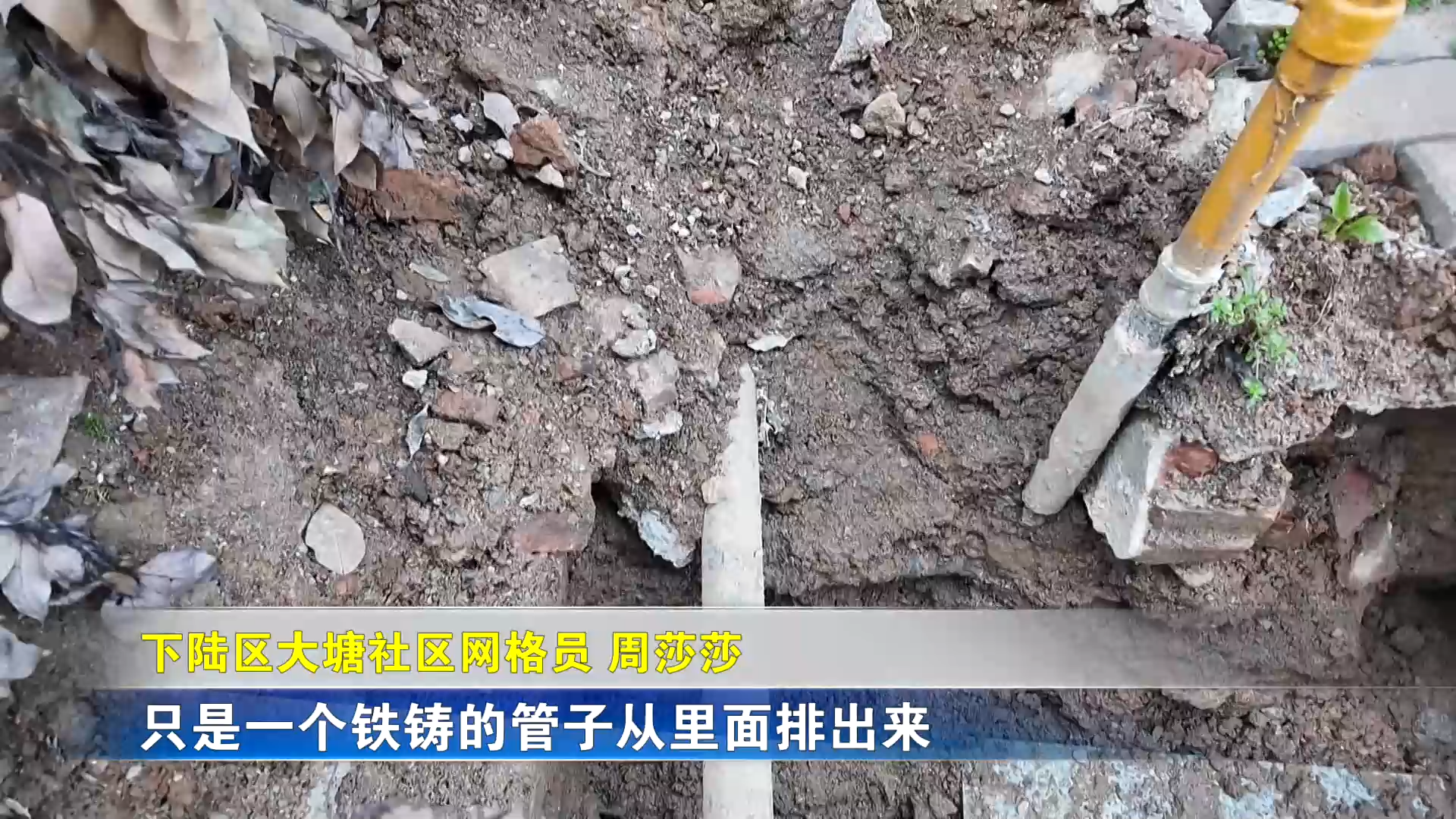 【新闻直通车】小兰帮忙 | 没排水沟！公共排污管“不堪重负”