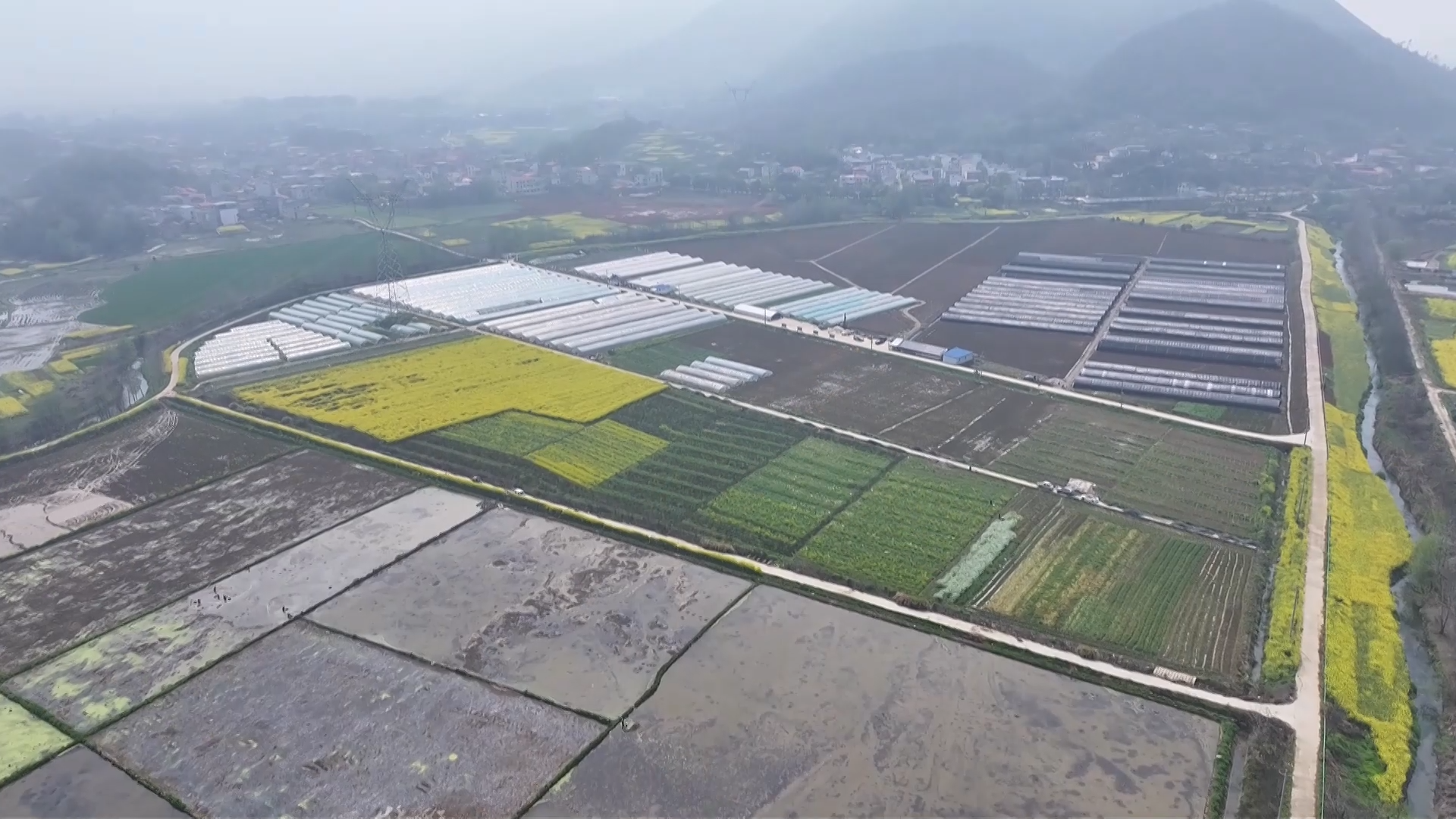 【新闻直通车】开发区·铁山区大王镇：土特产变“金钥匙” “多园融合”产业兴