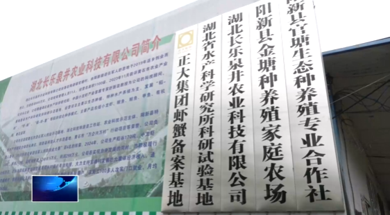 扎实推进乡村振兴 用心用情服务群众