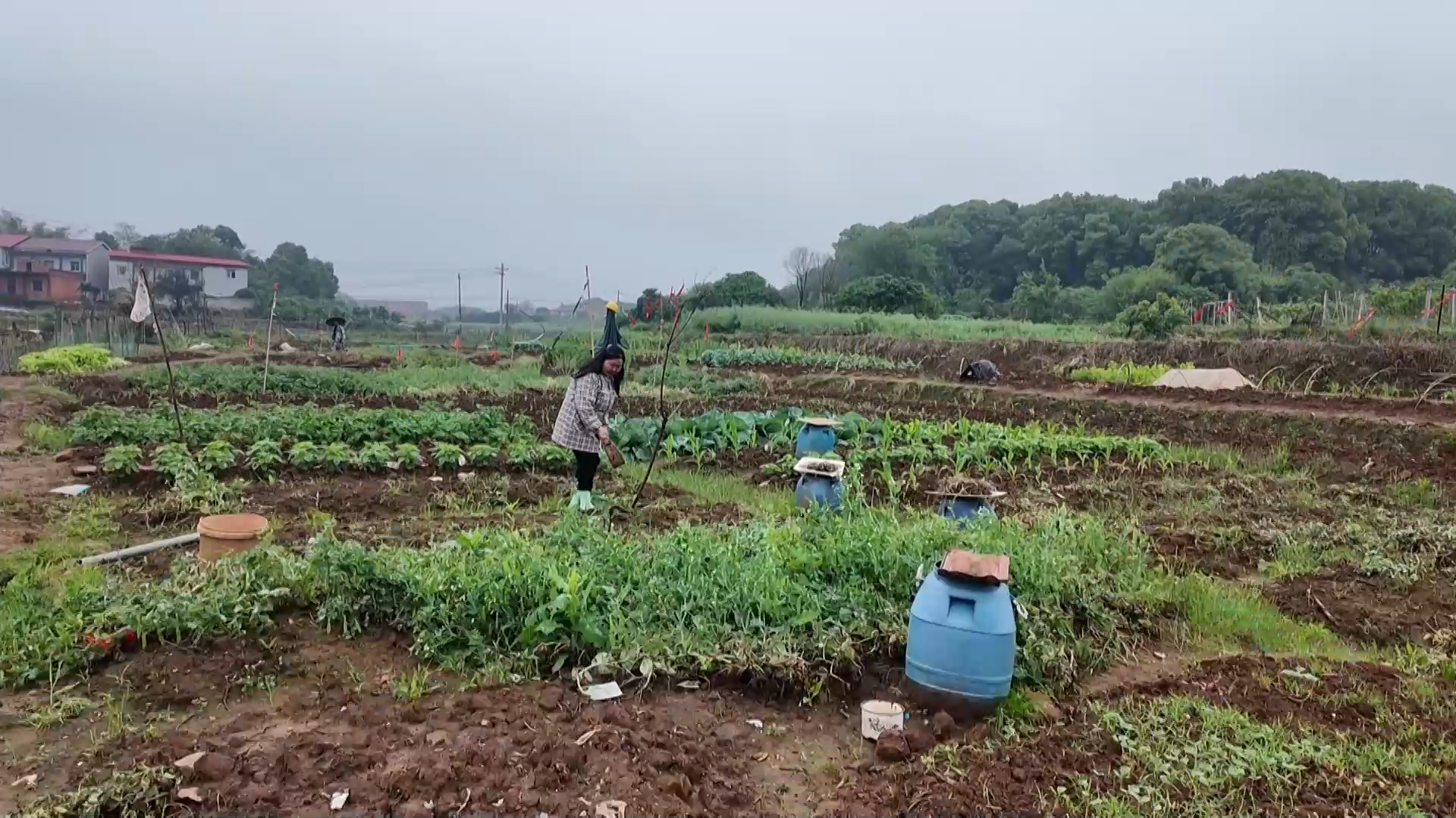 【新闻直通车】胡咏梅：以锄头为笔 让土地长出诗