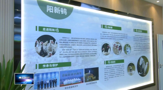 奋进“十五五” 实干开新局 | 阳新：全链条升级 “土特产”变身“金招牌”