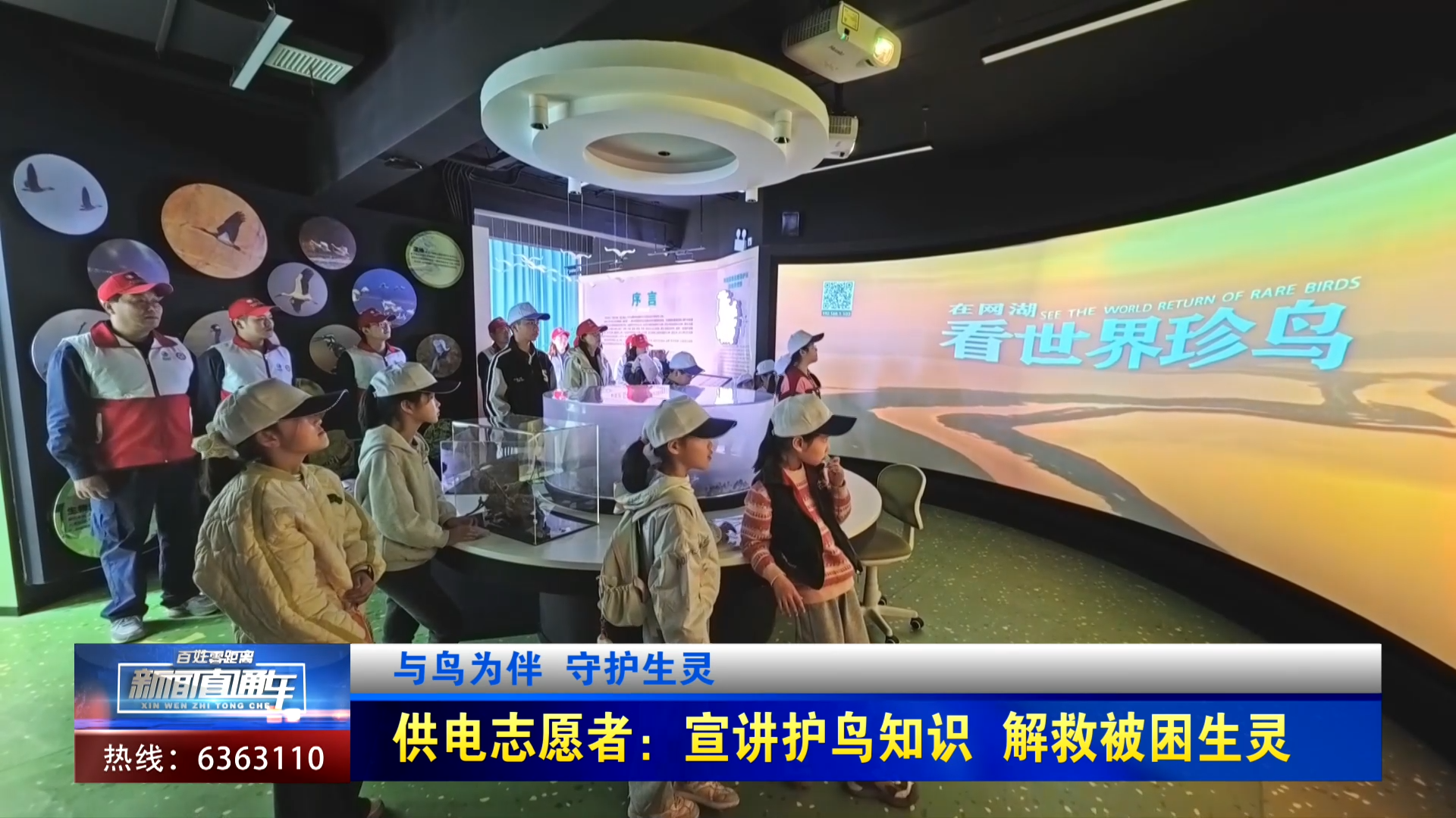 【新闻直通车】与鸟为伴 守护生灵 | 供电志愿者：宣讲护鸟知识 解救被困生灵