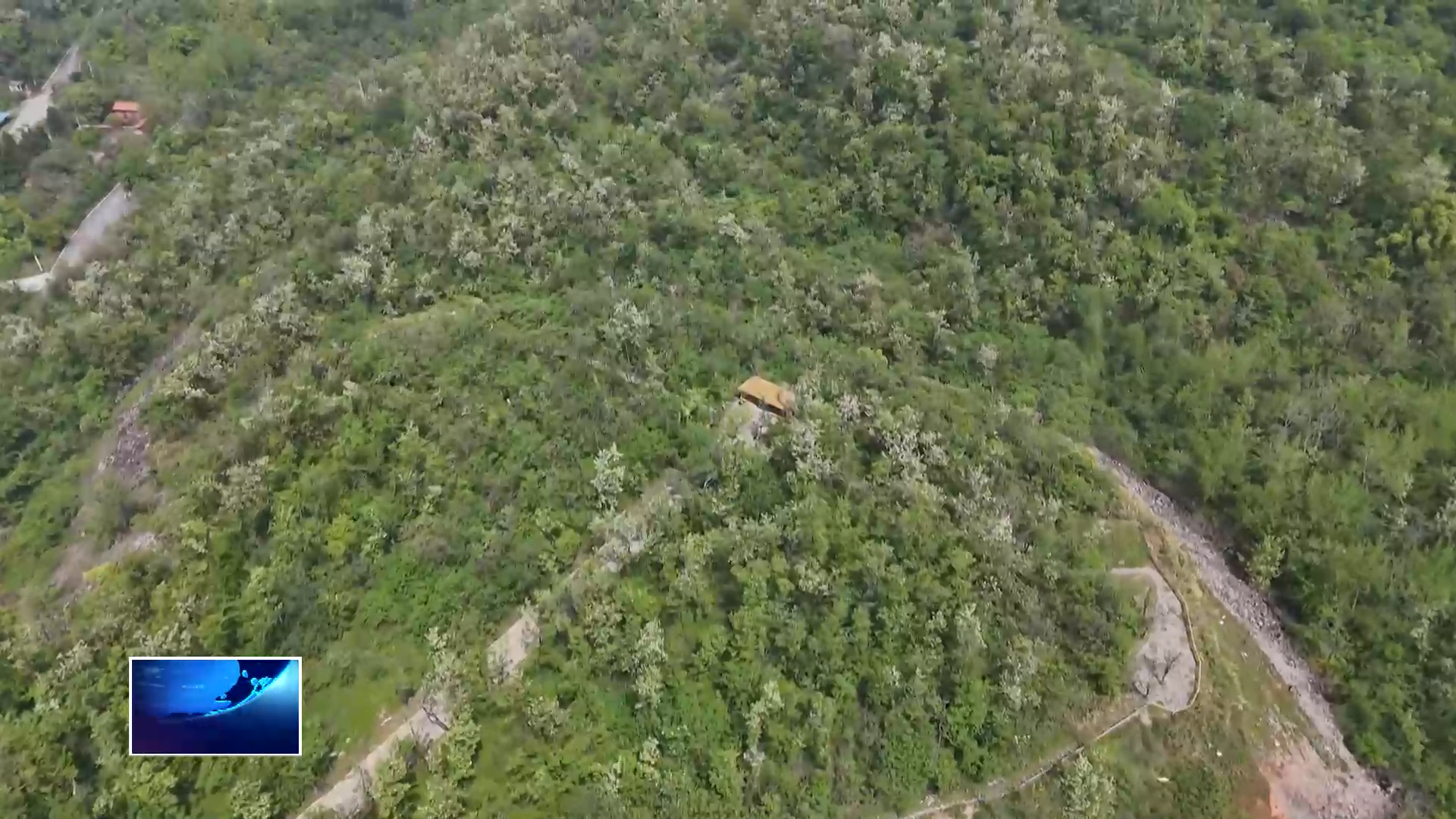低空赏花混搭花海火锅 “槐花ip”解锁消费新花样