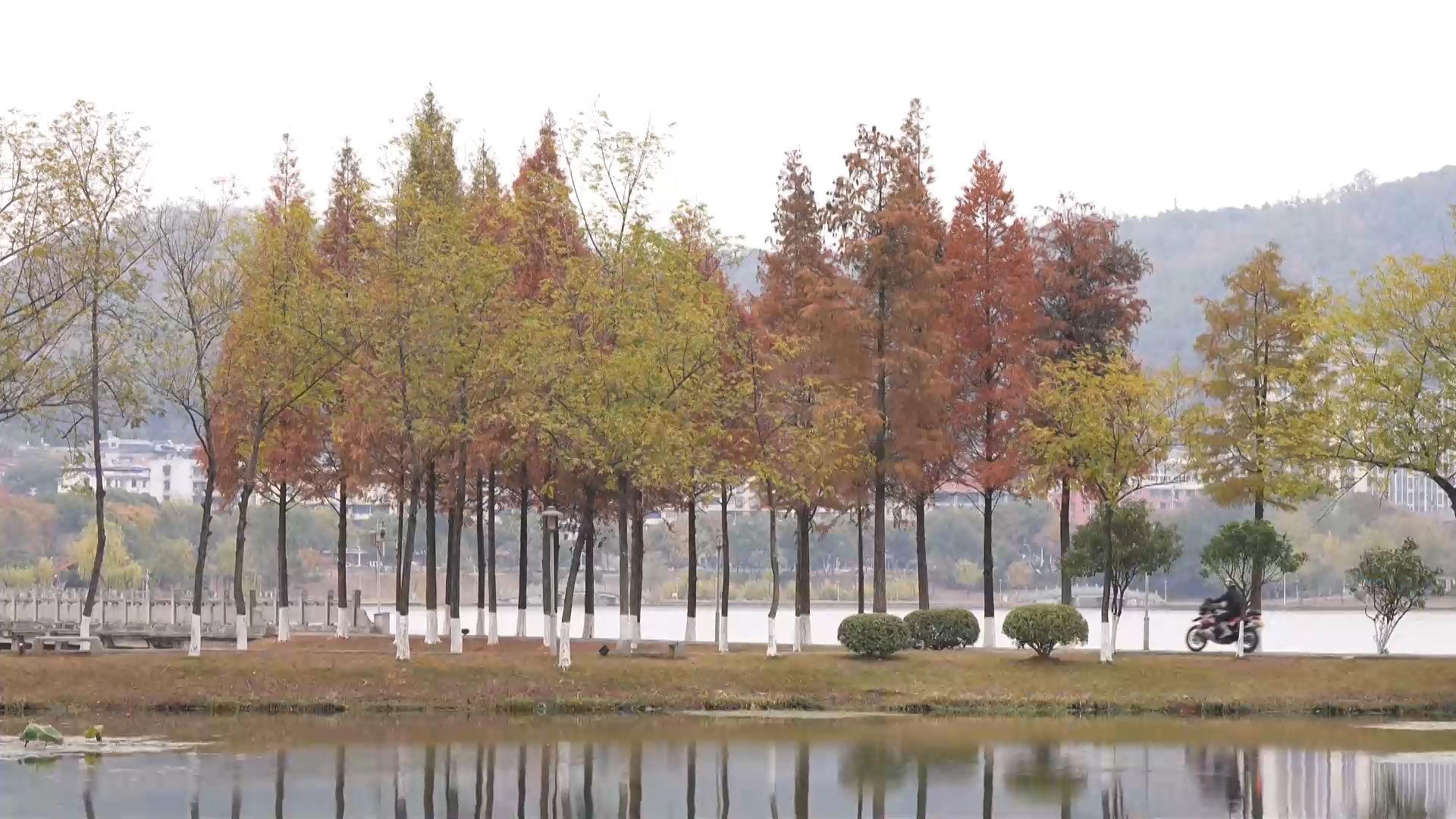 【新闻直通车】清明假期晴暖相伴 安全防火记心间