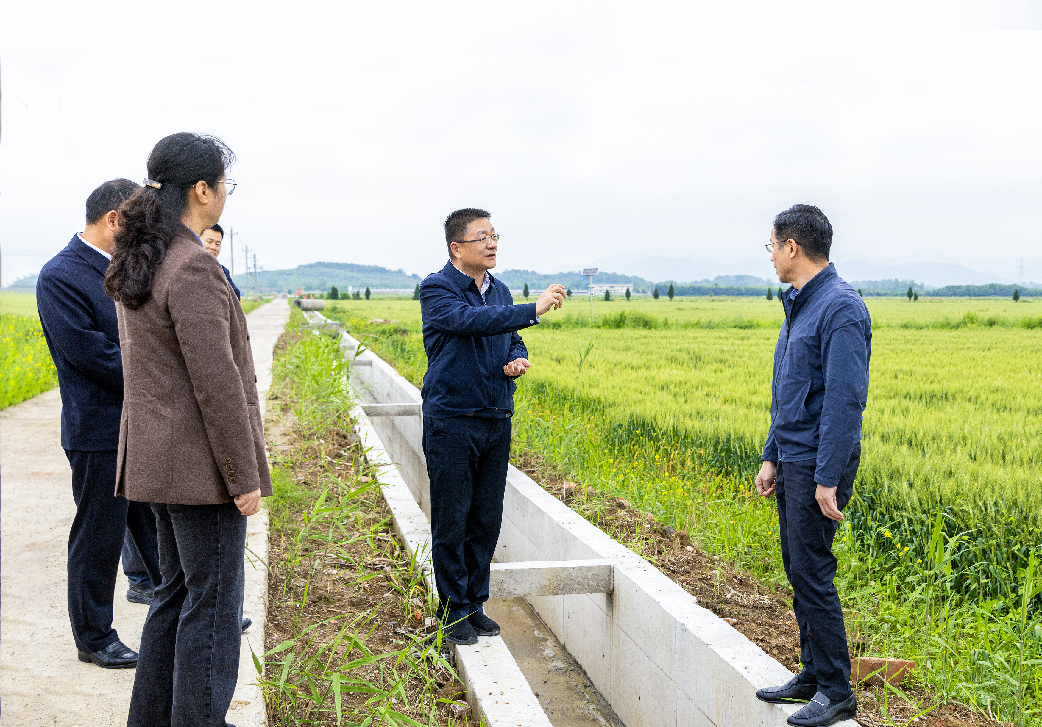 抓好春耕生产和高标准农田建设 坚决扛牢粮食安全政治责任
