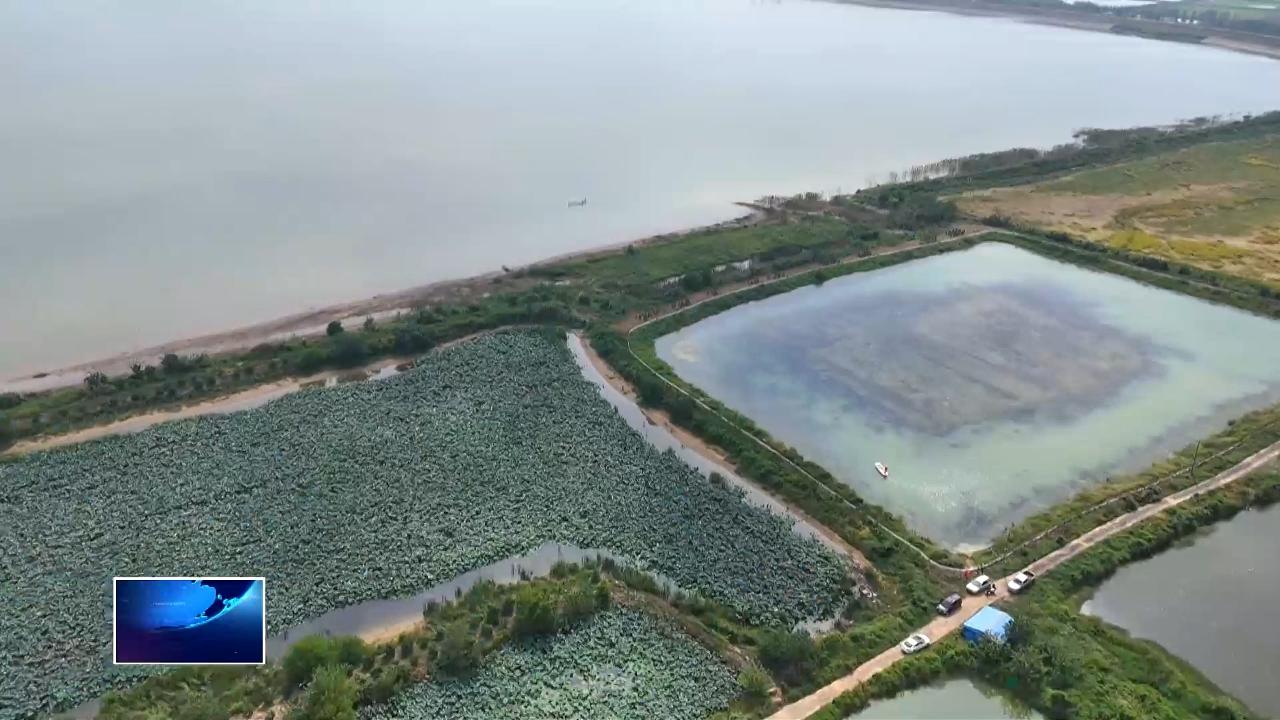 奋进“十五五” 实干开新局 | 农村产权交易上云端 沉睡资产活起来