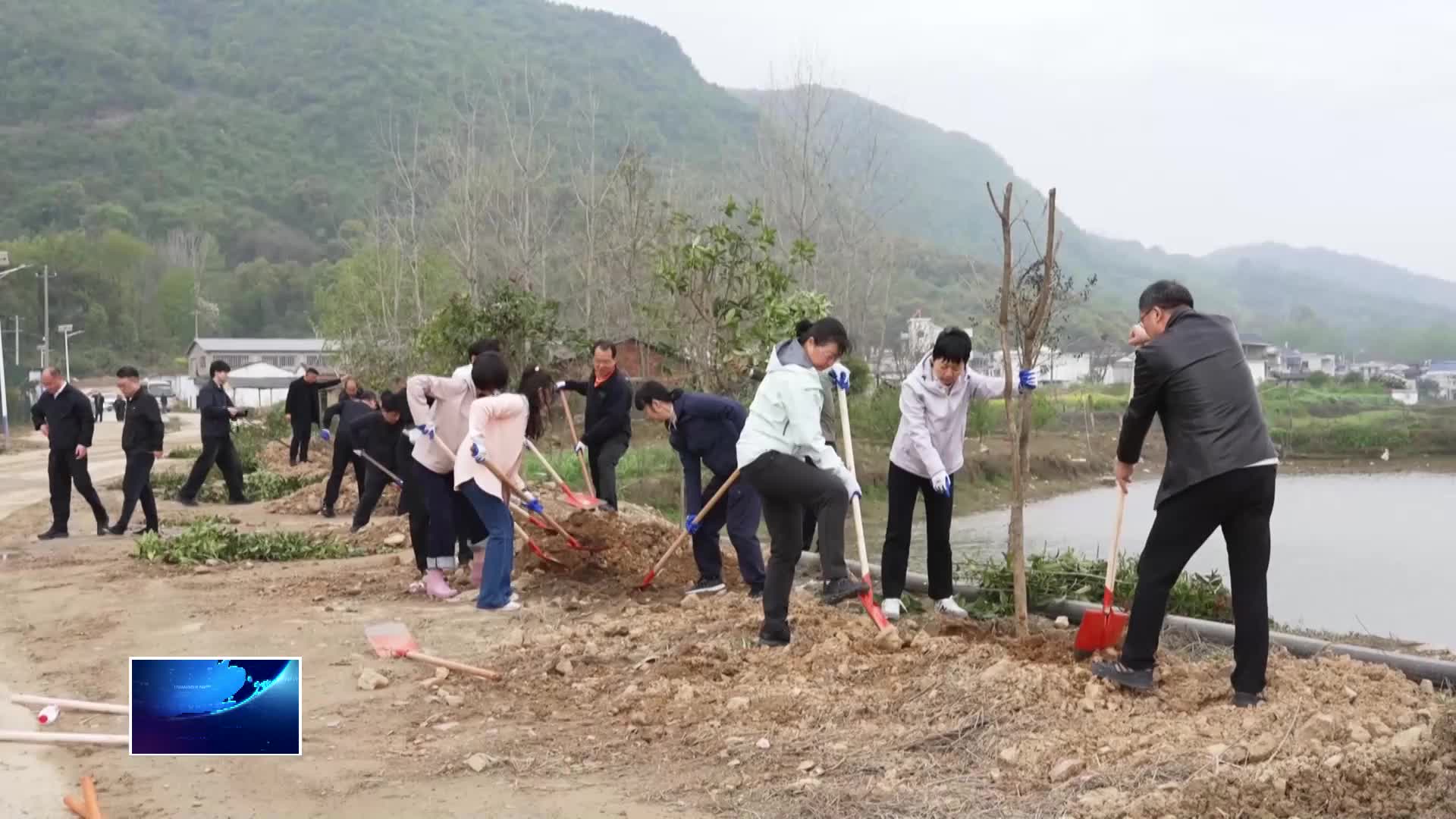 市人大机关：义务植树添新绿 助力乡村促振兴