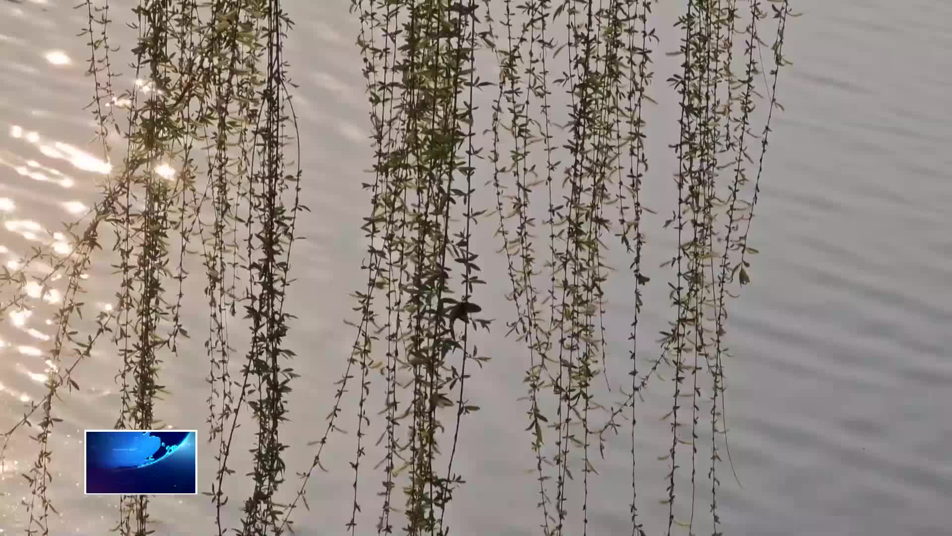 本周黄石气温将直冲30℃ 冷暖切换请注意防护