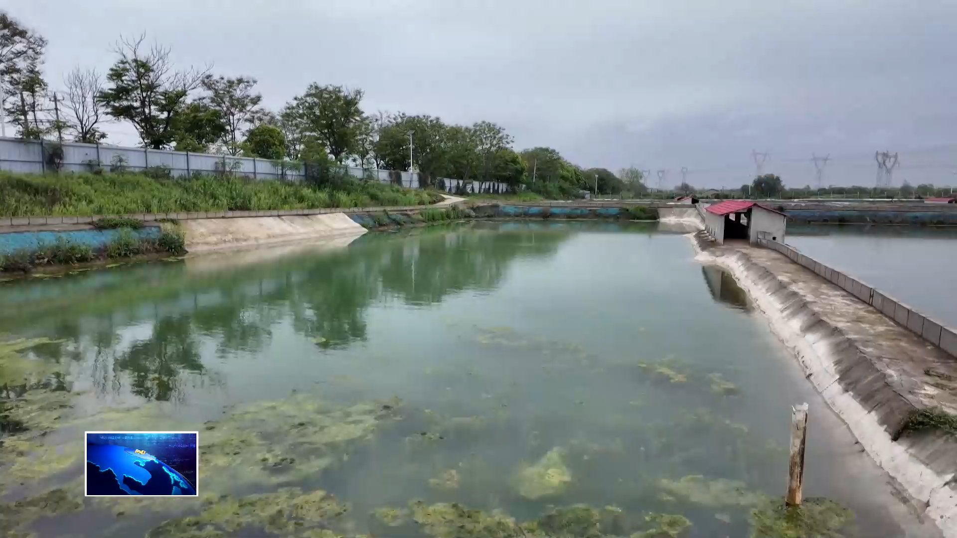 生态优先 品牌赋能 推动我市水产产业高质量发展