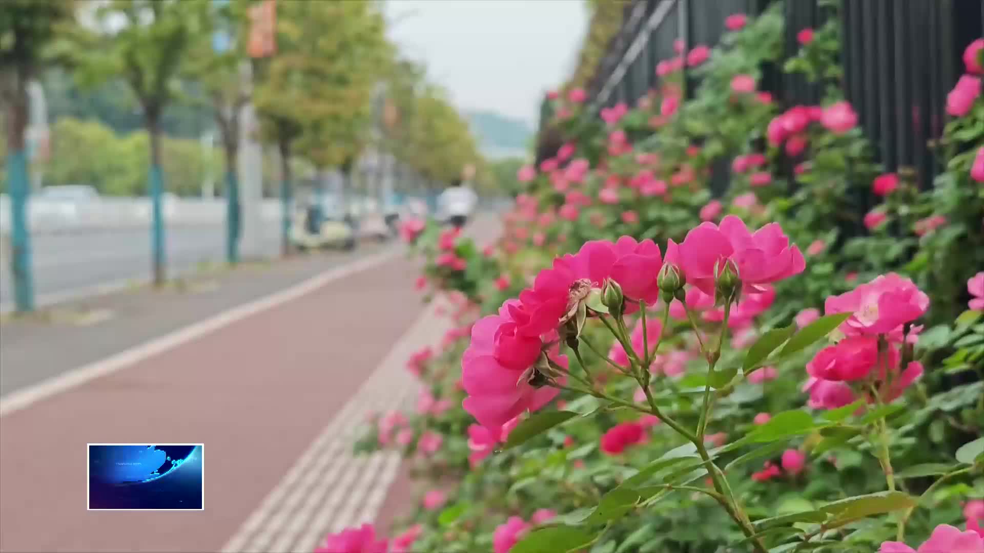 “五一”假期晴雨相间 合理安排出行
