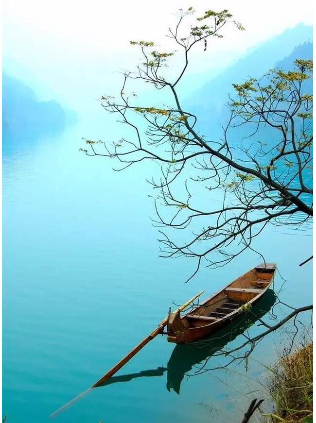 雪堂夜读回首向来萧瑟处也无风雨也无晴