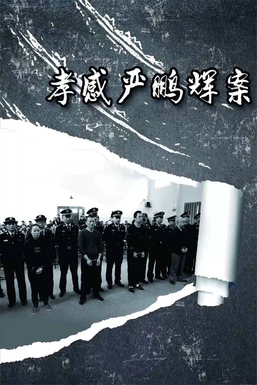 湖北公布3起扫黑除恶典型案例黑老大拉拢派出所长充当保护伞