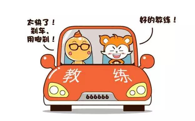 交通部高能预警驾校教练这些事情不能做