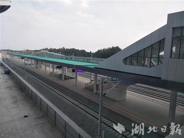 24把巨伞撑立银杏之都随州南站惊艳亮相