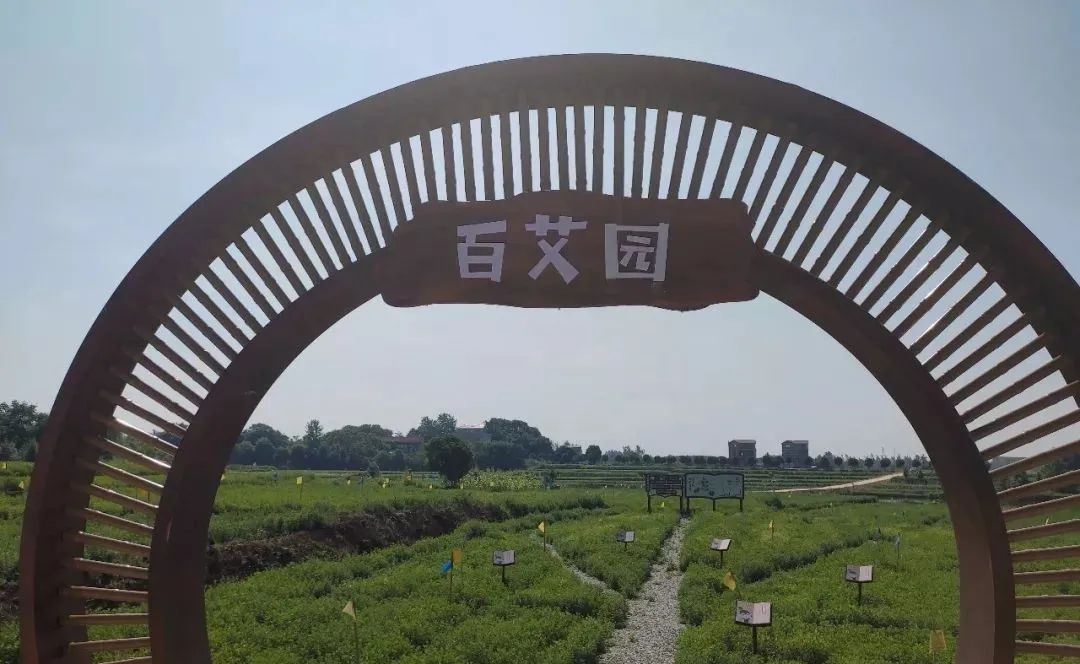 8月4日央视直播走进蕲春赶紧下载直播app傲娇地参与进来吧