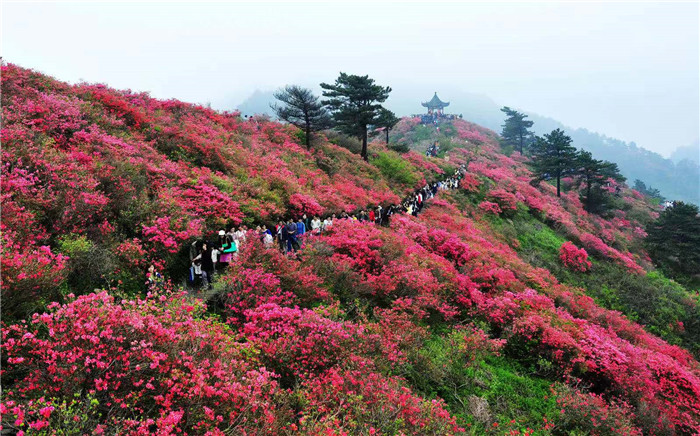 靈秀黃岡因旅更精彩