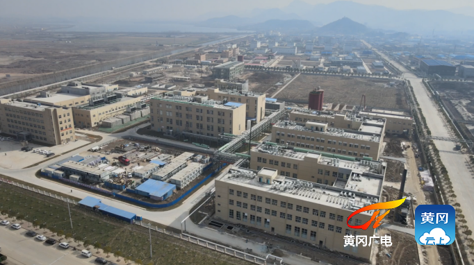 近日,记者在武穴市田镇马口工业园区看到,龙翔药业新兽用原料药项目