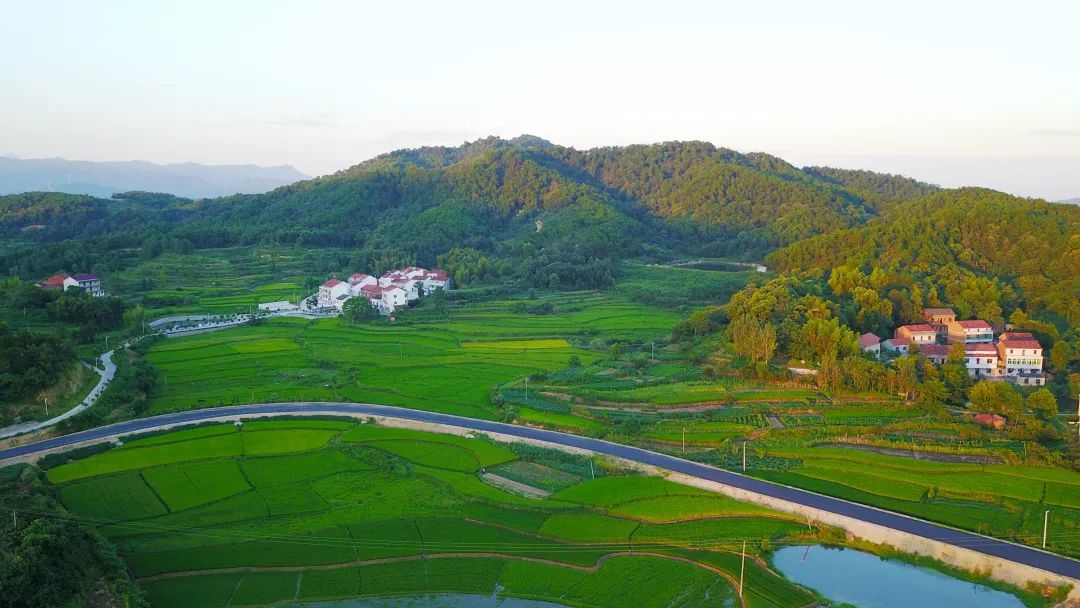 2020年度十大最美農村路推選#【湖北省黃岡市武穴市仙人湖省級溼地