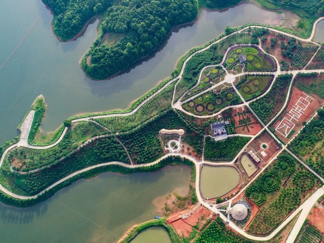 端午首秀蕲春李时珍百草园飞龙渡劫山体裸眼3d光影秀来了