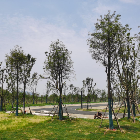 7月1日黄冈江滩公园将正式开放