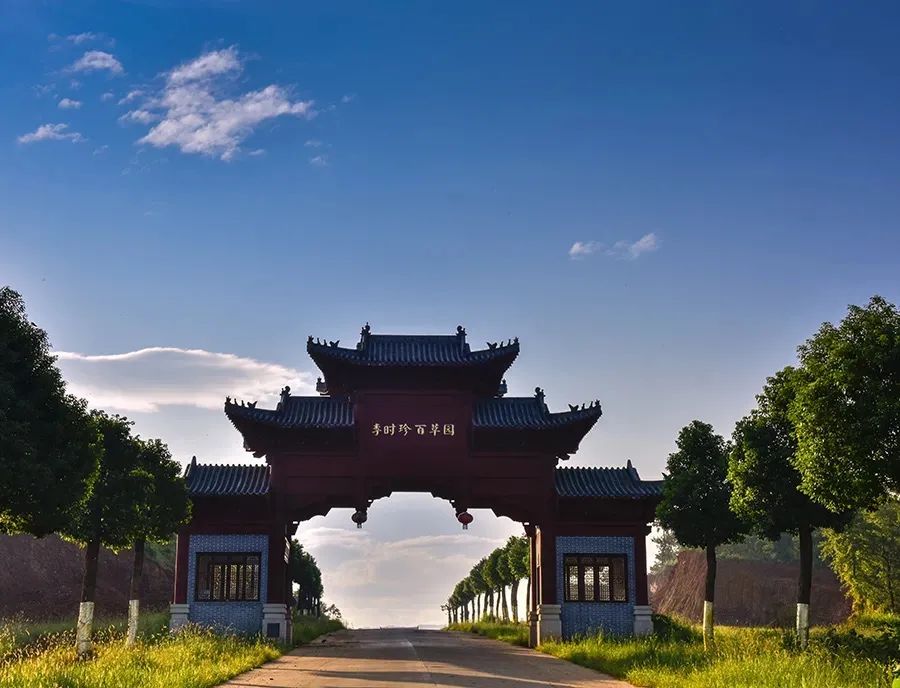 端午首秀蕲春李时珍百草园飞龙渡劫山体裸眼3d光影秀来了