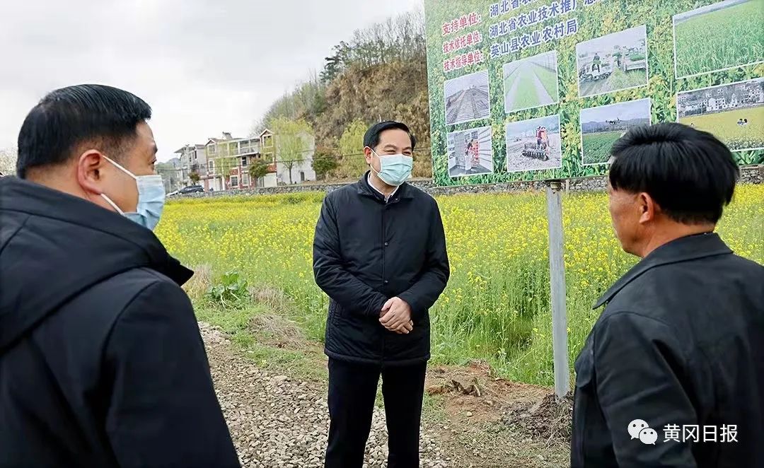 视频张家胜赴英山县调研城区园区规划春耕生产和农村供水工作