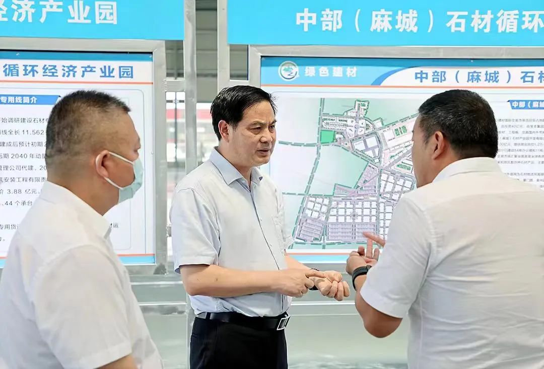 视频张家胜到麻城调研