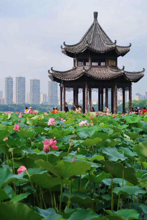 遗爱湖风景区图片