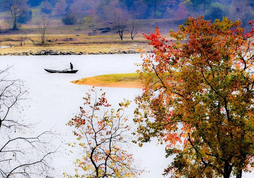 _DSC1511.jpg 图片