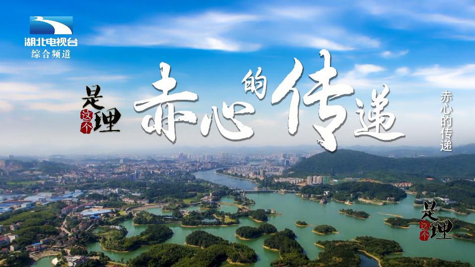 《是这个理》：赤心的传递