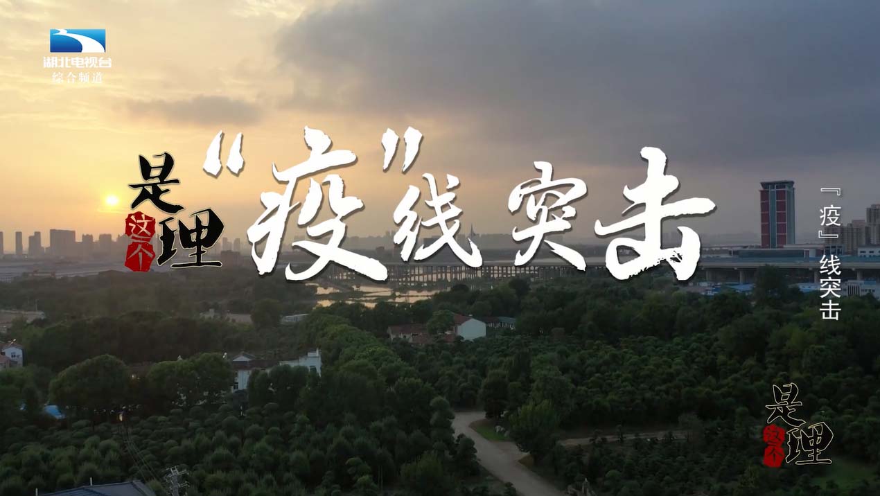 《是这个理》：“疫”线突击
