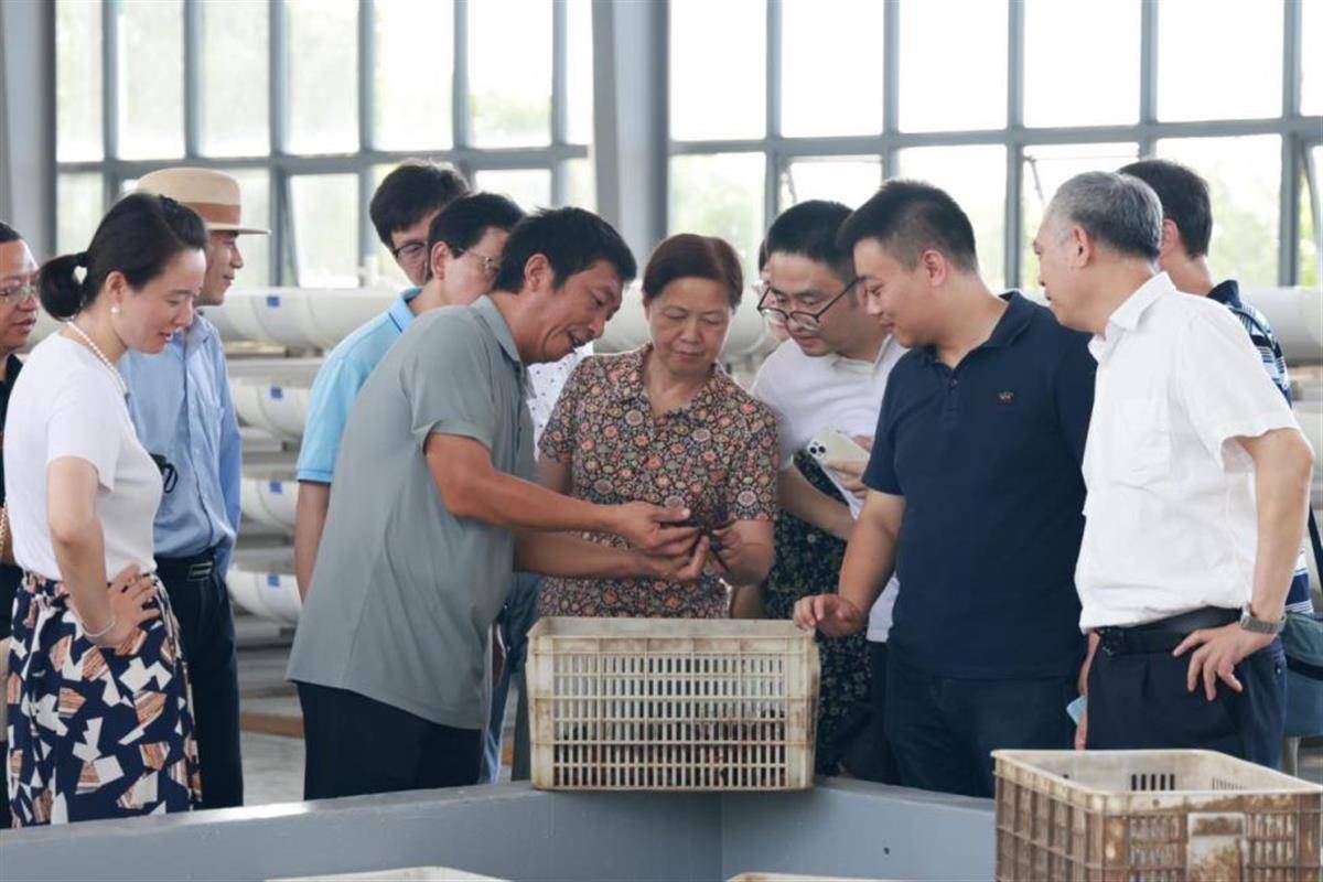 潜江研学旅行