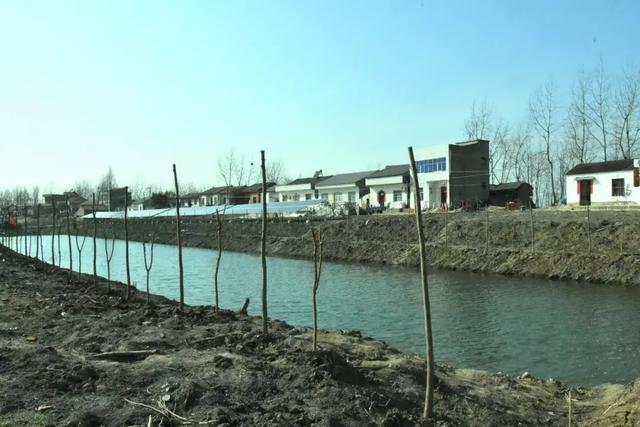 "前往杨林尾镇济台村,龙台村仙桃市公安局组织70多名民警3月12日下午