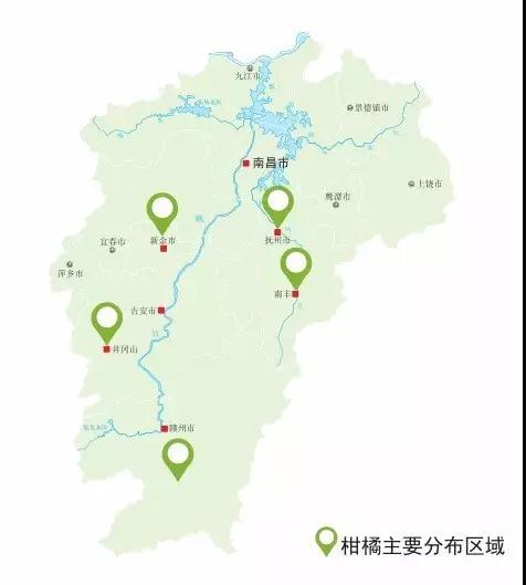 近两年,随着寻乌,安远,信丰的柑橘黄龙病发生较重情况下,脐橙的面积