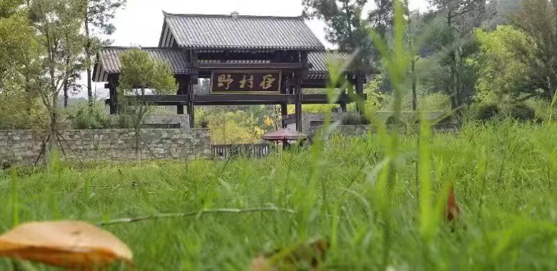 小编先带大家看哈野村谷有哪些好玩滴?