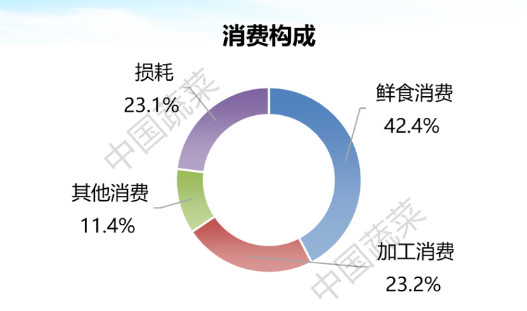 大数据2020年蔬菜生产消费进出口情况及未来10年展望