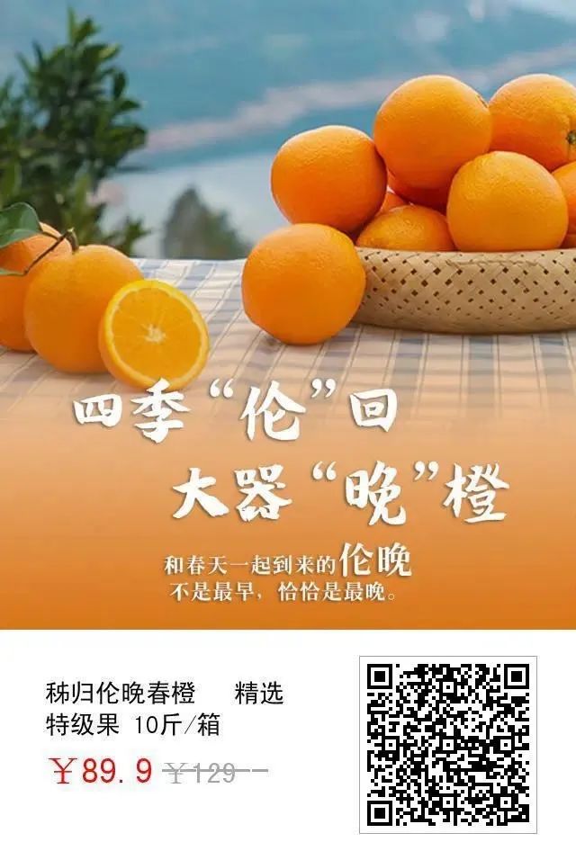 橙功归来春暖花开真正的橙功款伦晚脐橙长啥样