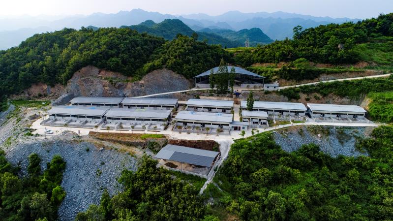 郧西:马头羊成为产业扶贫"领头羊"