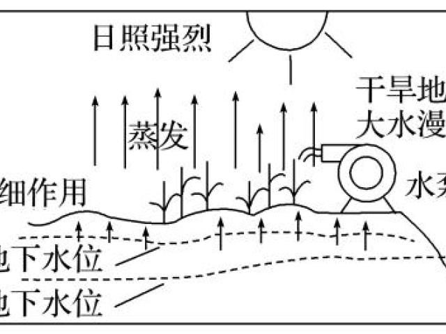 盐碱化的成因图片