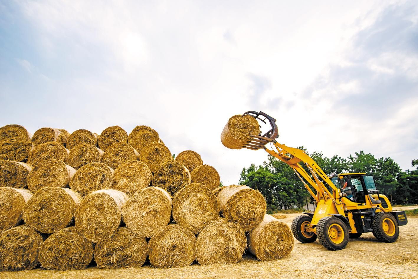 秸杆综合利用:给秸秆谋个"好出路"