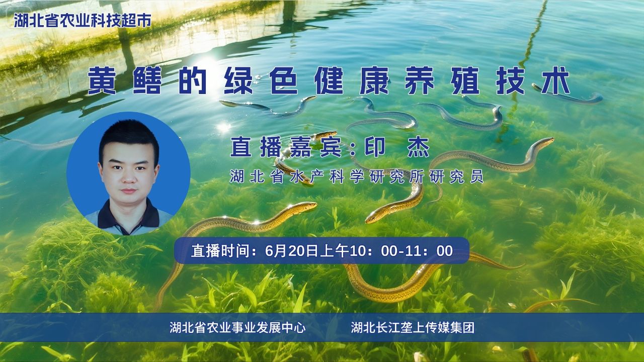 直播海报“黄鳝的绿色健康养殖技术”.jpg