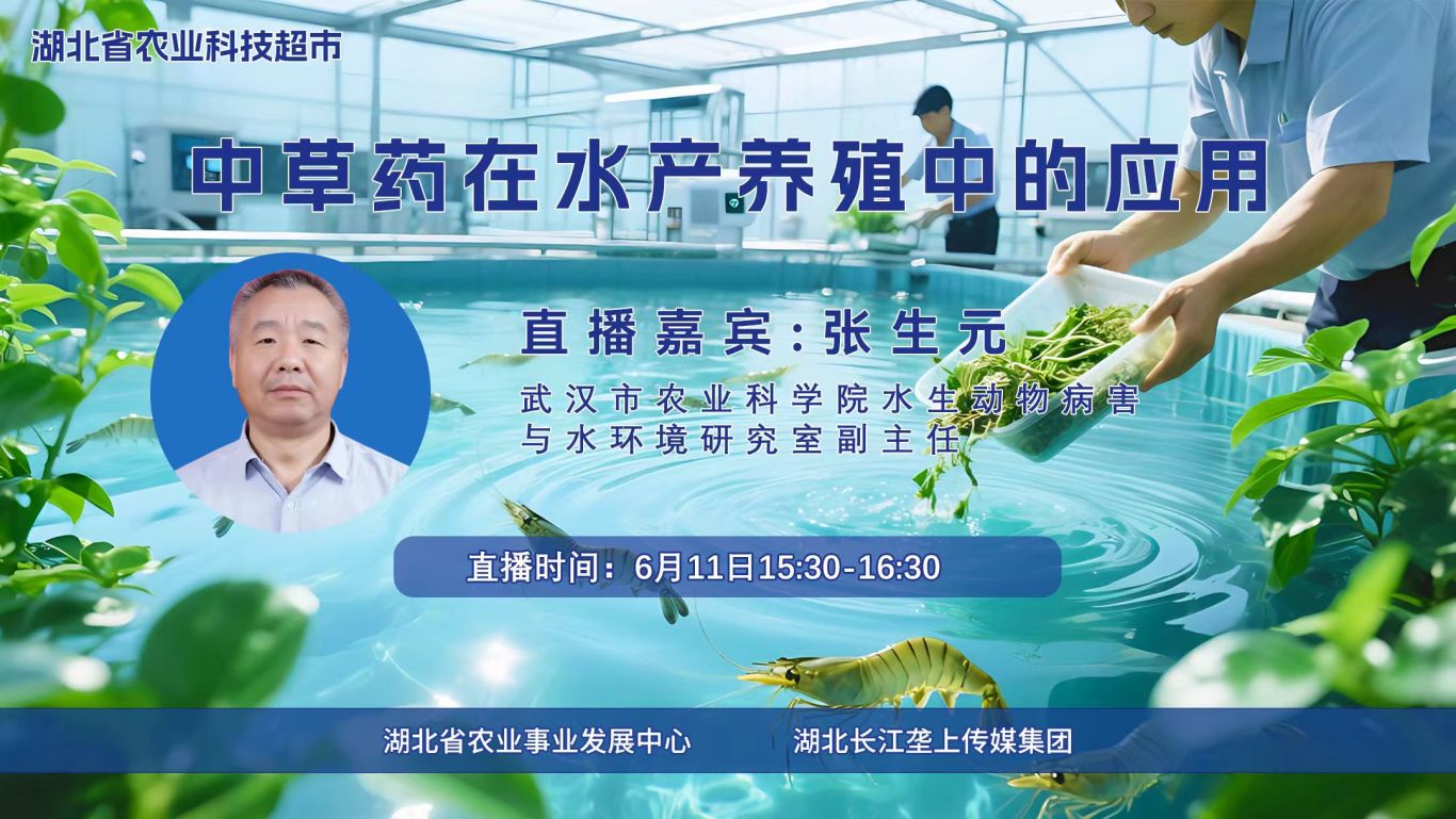 微信图片_20250610192140_116.jpg