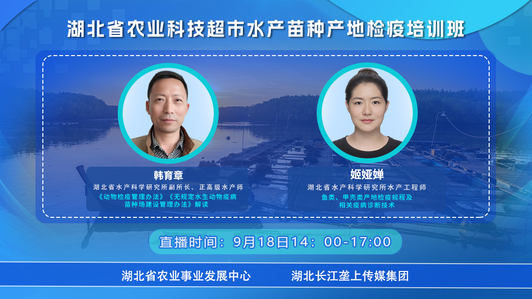 直播海报.png
