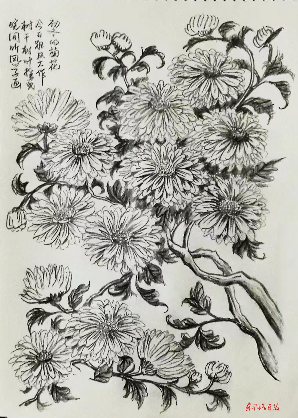 冬的菊花 (素描 作者 徐新元)