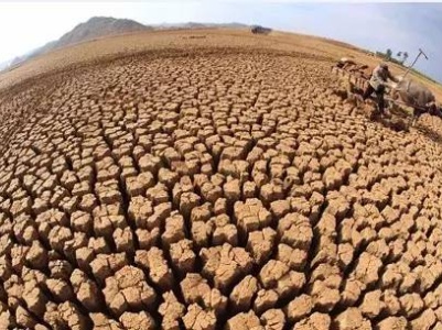 世界防治荒漠化和干旱日——防治荒漠化 建设绿色家园